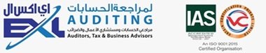 Virtual Accountants